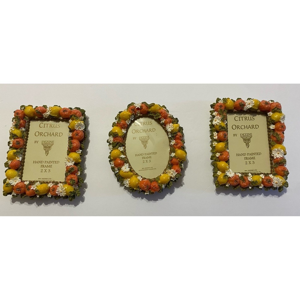 DEZINE Vintage Citrus Orchard Collection 2X 3 Hand Painted Frames (Set Of 3)